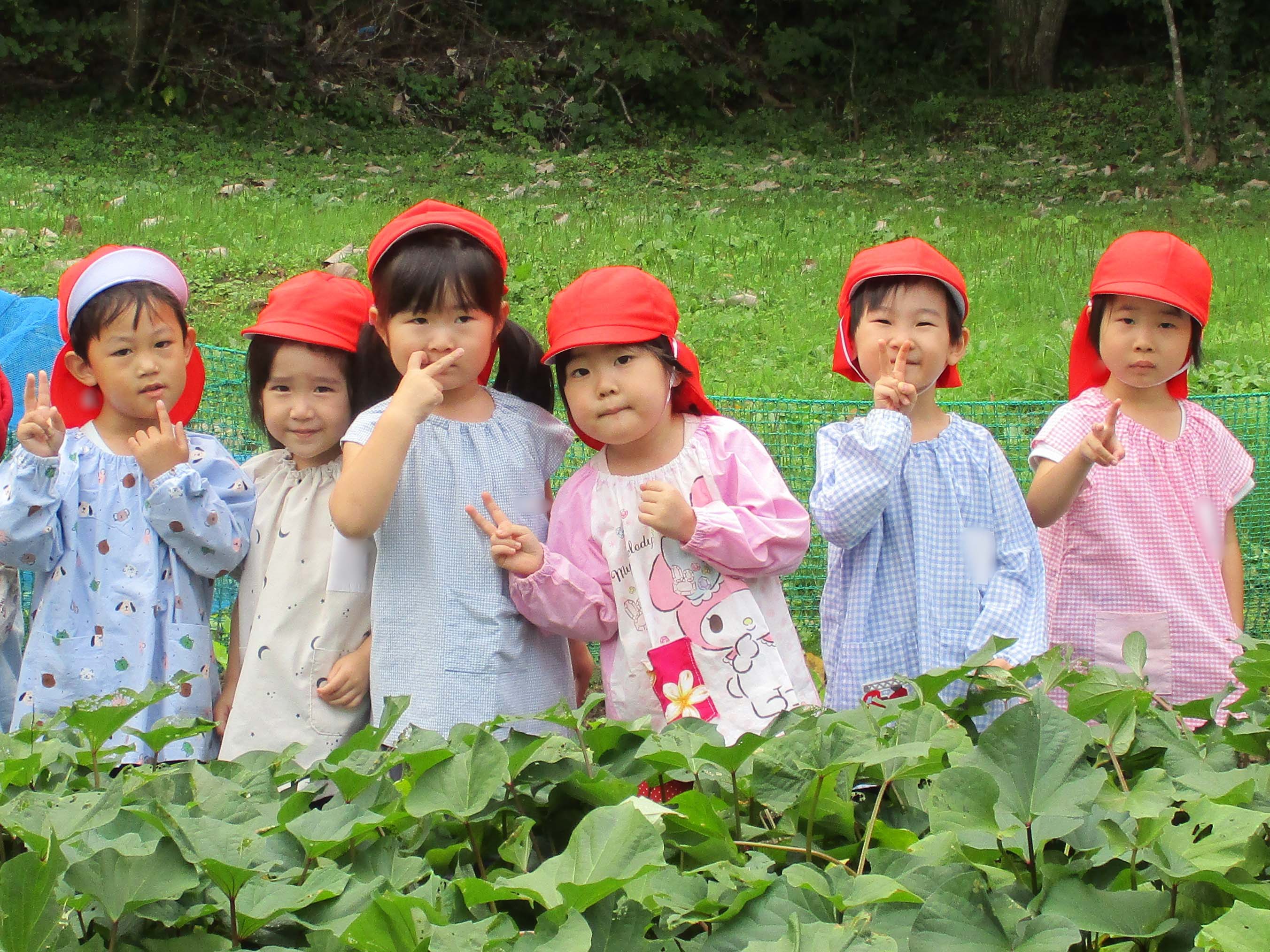 ���܂���