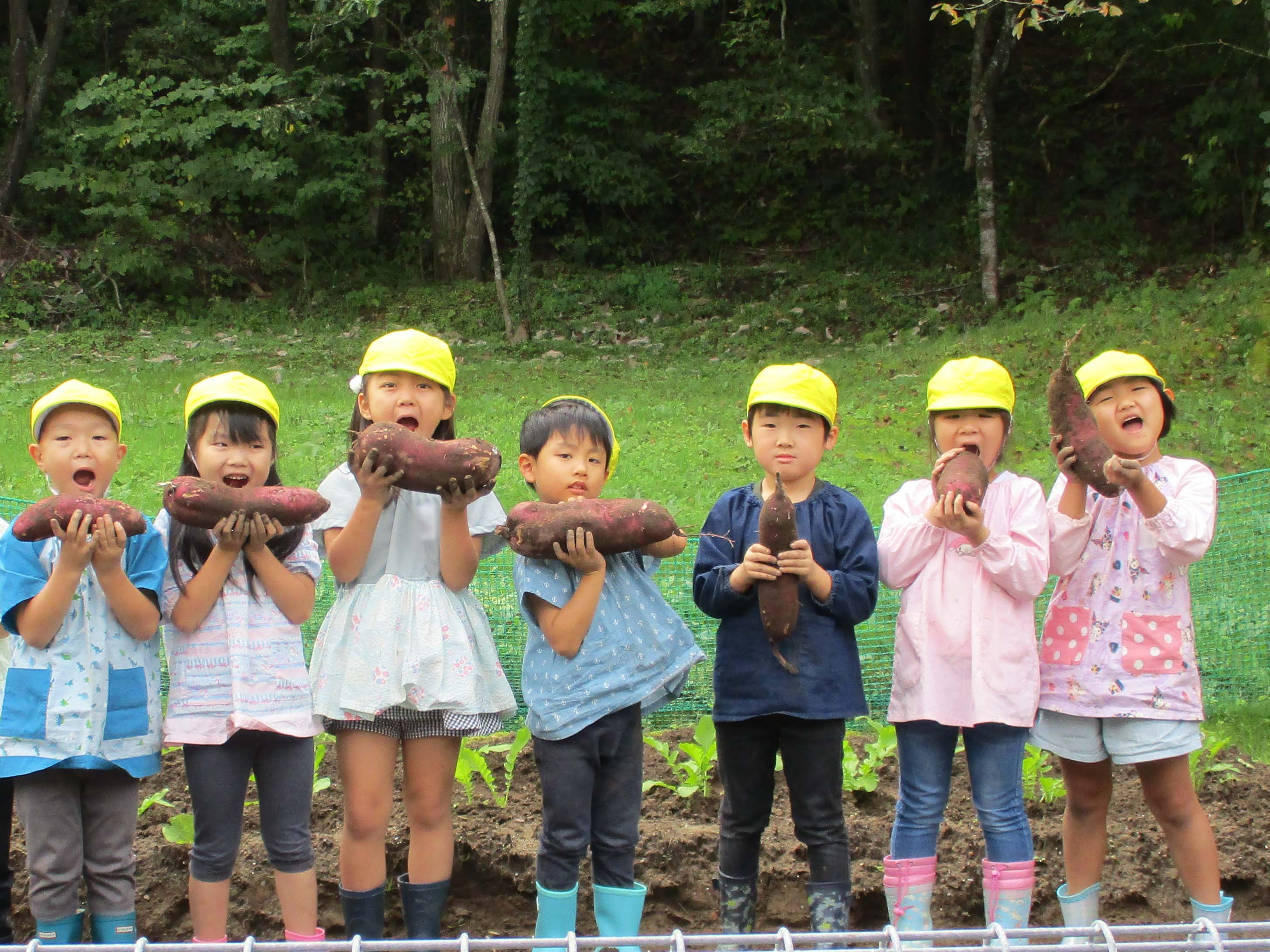 ���܂���